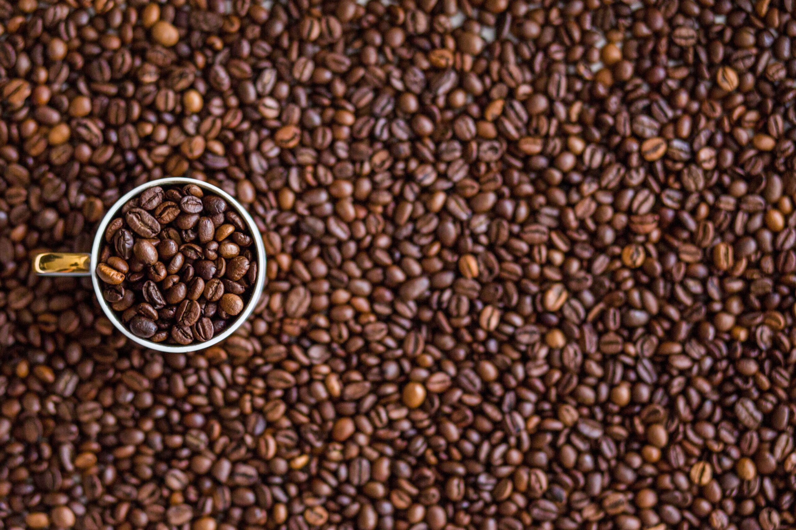 Presentamos las últimas tendencias del mercado del café para fortalecer las capacidades de la cadena de valor en varios países de África